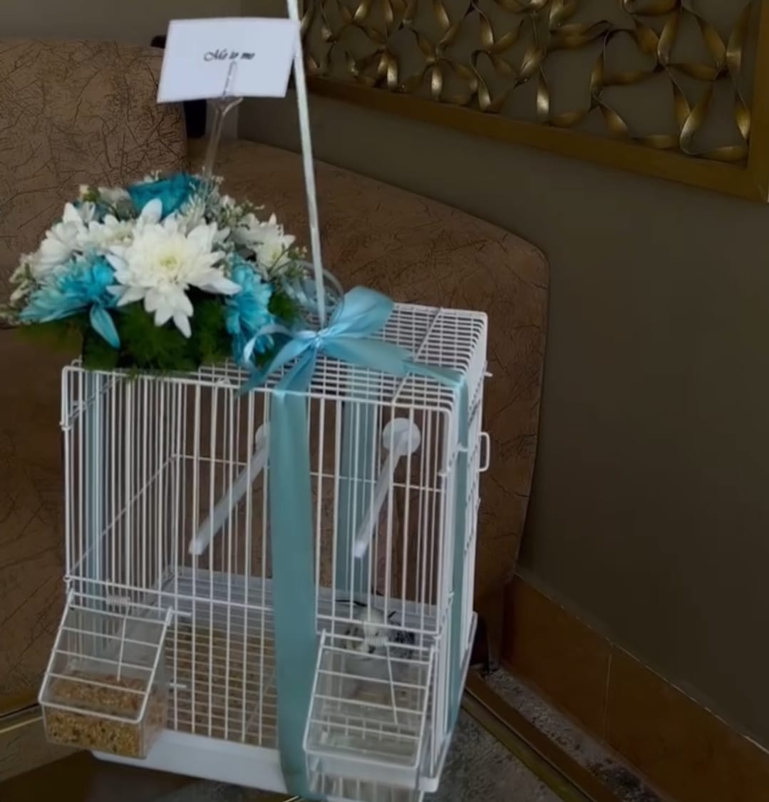 Lovebirds (Budgies / Parakeets)